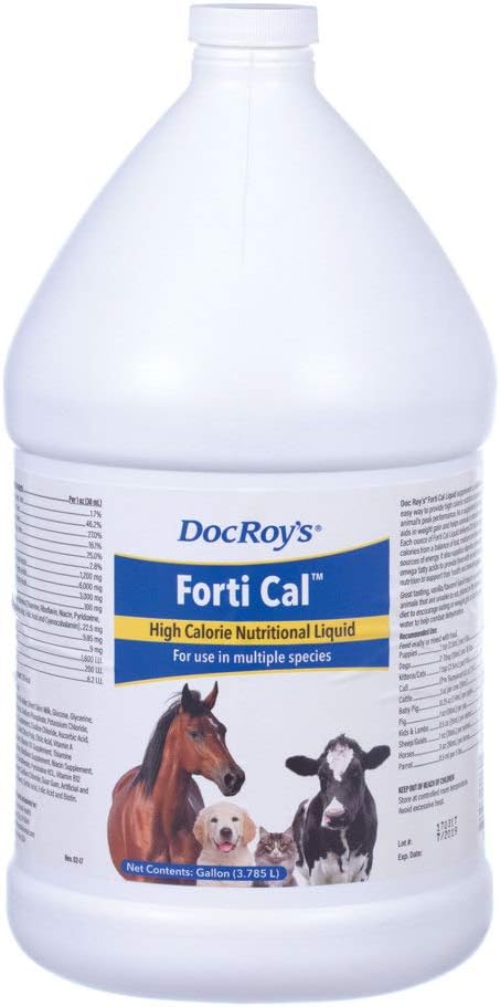 Doc Roy's Forti Cal Liquid, supplément d'énergie à haute teneur en calories pour chiens, chats, chevaux, bétail, soutient gain de poids, récupération, hydratation, avec Oméga 3 6 9, vitamines A D3 E C, fabriqué aux États-Unis, 1 Gallon