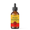 Mélange à base de plantes Adaptogènes Sibérie avec Maral, Spikenard, Eleuthero, Ginseng rouge, Rhodiola, Schisandra, réglisse, pivoine, et plus encore - stimule l'énergie, améliore la concentration, réduit le stress, 2 oz fluide (60 ml)