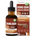 Dong Quai Liquid Supplement for Women, Angelica Sinensis Root Extract Tecture Support Ménopause & PMS Relief, Flashs chauds, gouttes de mélange à base de plantes avec Clover Rouge Fenugreek. 2oz