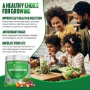Supergreen Veggies Gummies - Gummies de fibre végétarienne pour adultes et enfants - Superaliments verts quotidiens avec 35+ Vitamines essentielles et soutien Immunity & Gut Health - 4g de fibre par deux Gummy (60 comte)