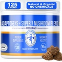 MediiPet 7 Champignons Immune Chews - Supplément Champignon pour chien - Buddy Guard for Dogs Lumps & Bumps - Reishi, Shiitake, Maitake, Turquie Tail - Promouvoir le bien-être, combattre le stress oxydatif, le vieillissement en santé