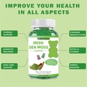 Gummies de mousse de mer avec vitamine pour végétalien et adulte 1800mg Muse de mer + 1100mg Bladderwrack + 300mg Burdock, Immuni & Detox Support pour adultes et enfants - 60 Pcs