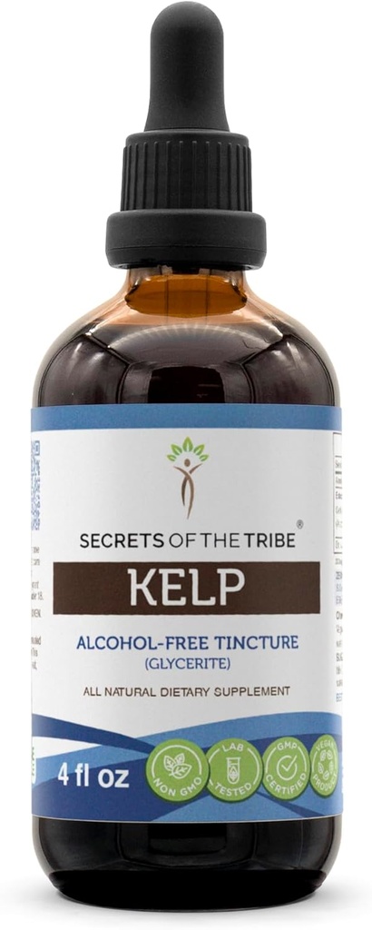 Secrets de la Tribe Kelp Tecture Extrait liquide sans alcool, Kelp (Ascophyllum nodosum) Usine séchée (4 FL OZ)