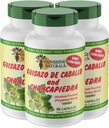 Sunshine Naturals Guisazo & Chancapiedra Herbal Blend, complément alimentaire naturel pour le bien-être, 90 capsules. Boîte de 3