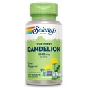 SOLARAY Supplément racine de dandelion - Rein santé et soutien du foie - 1 040 mg par portion - Vegan, laboratoire vérifié, garantie de 60 jours - 50 portions, 100 VegCaps