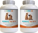 Les enzymes digestives probiotiques du chien - PET PROBIOTIC - DOGS ET CATS - BOISSONS DIGESTIVES - VOIR LE RID DE LA BANDE ET STOP DIARRHEA - lactobacillus salivarius probiotique - 2 bouteilles (120 traités)