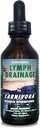 Carnivora - gouttes de drainage de lymphe - Stimule et nettoie votre système lymphatique – Flushes déchets cellulaires, stimule l'énergie, combat l'échappement. 2 Fl Oz (paquet de 1)