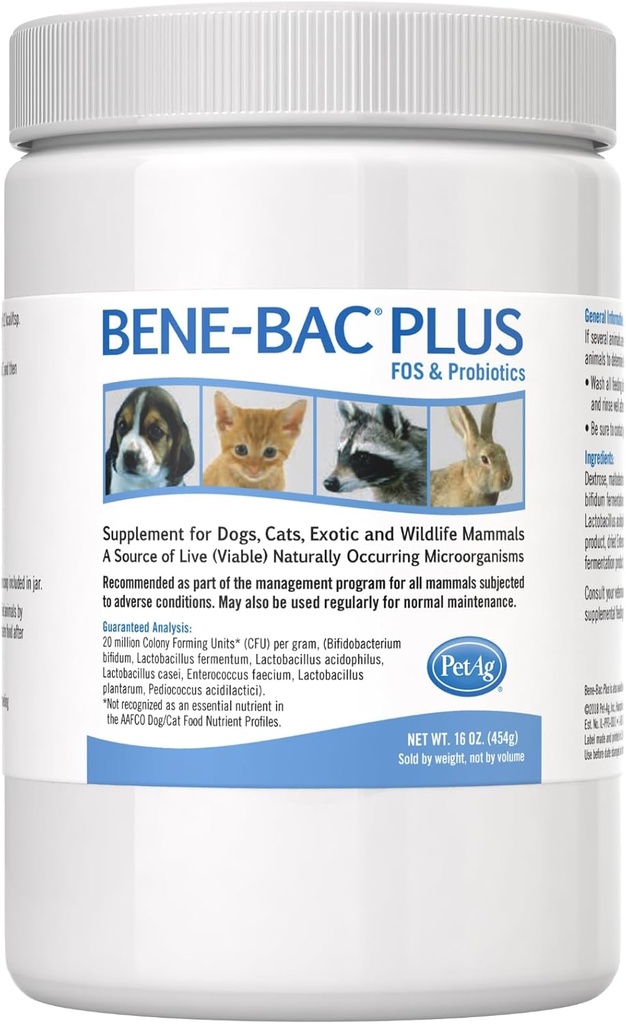PetAg Bene-Bac Plus - Poudre de 1 lb - FOS et probiotiques pour chiens, chats, animaux exotiques et animaux sauvages