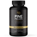 Surthrival : Pine Pollen Powder Capsules (180 Count), Wild Harvested, Energy & Endurance Restoration