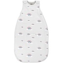 Woolino Merino Laine Ultimate Baby Sleep Sack - Couverture bébé wearable 4 saisons - Sac de couchage réglable à fermeture éclair pour bébés et tout-petits - Taille universelle (2-24 mois) - Rainbow