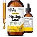Gouttes de Mulléine sauvage et biologique pour les poumons - Détox pulmonaire et nettoyage - Teinture de feuille de Mulléine liquide avec racine d'échinacée et de réglisse - Supplément d'extrait végétalien, sans sucre et sans alcool - 2 fl oz