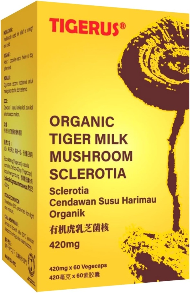 Mushroom de lait de tigre (LiGNO TM02® Lignosus rhinocerus Sclerotia) Malaisie, Lung Respiral Immune Support 420mg x 60 vegecap