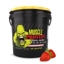 LABS COLOSSALE Protéines musculaires Poudre de lactosérum [12 lb/paquet de 1]– Filtré à froid, 25g Protéines pures, 6,6g BCAAs (Paquetage May Vary) (12LB, Fraise)