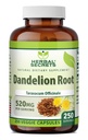 Secrets à base de plantes Racine de dandelion 520 mg Gélules Suppléments de Gluten sans OGM Fabriqué aux États-Unis (250 Nombre)