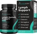 Complément de support du système lymphatique à base de plantes - Complexe de soutien lymphatique avec Echinacea Goldenseal Astragalus & Hydroxytyrosol pour le drainage lymphatique et le soutien immunitaire - Vegan Non-OGM sans gluten (1 mois)