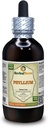 Psyllium (Plantago Ovata) Tincture, Organic Dried Seed Liquid Extract (Brand Name: HerbalTerra, Proudly Made in USA) 4 fl.oz (120 ml)