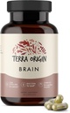 Origine Terra, supplément pour cerveau sain, capsules, 30 portions, avec CDP Choline, Ginkgo Biloba Extract et Bacopa - pour l'esprit sain, améliore la mémoire, le rappel et la fonction