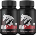 ize labs Wild Stallion Pro Capsules, Wild Stallion Pro pour hommes, Wild Stallion Pro Performance Complement Reviews, Wild Stallion Pro Male Support (120 capsules) (Pack of 2)