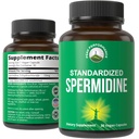 Supplément de spermidine Ultra haute résistance Standardisé à 99 % Trichlorhydrate de spermidine. Plus d'extrait de germe de blé. Capsules végétaliennes pour un vieillissement en santé, Longévité. USA Suppléments testés