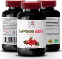 capsules d'extrait de baies d'aubépine - HAWTHORN BERRIES EXTRACT - poudre d'extrait de baies, énergie des baies sauvages, pilules d'énergie d'aubépine, teinture de baies d'aubépine, complément antioxydants pour les femmes 1 Bot 60 Caps