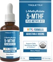 Organic Kids Methylfolate + Methyl B12 Cofactor - Bio Berry Flavor, Forme Sublinguale - Forme 5-MTHF, Forme Supérieure du Folate - Dosage réglable pour tous les âges - Mood, Behavior, Cognition - 1 oz.