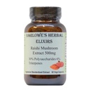 Barlowe's Herbal Elixirs Reishi Supplément d'extrait de champignons rouge Reishi