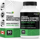 Renouveler les actifs Extrait de fève de café vert haute puissance - 800mg par portion Extrait de fève de café vert avec 50% d'acide chlorogène pour les avantages antioxydants - Fabriqué au Canada - 90 Capsules de végétalien