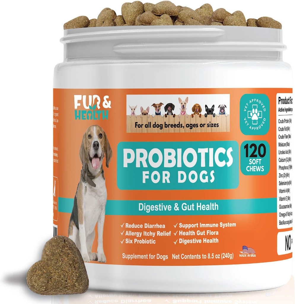 Probiotics for Dogs Digestive Health Supplement Allergy & Itchy Skin - Pet Diarrhea Gas Treatment Upset Stomach Relief Chicken Flavor 120 Soft Chews