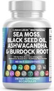 Nutraceutiques propres Moss de mer Huile de graines noires Ashwagandha Turmeric Bladderwrack Burdock & Vitamine C Vitamine D3 avec Elderberry Manuka Dandelion Darge Jaune Iodine Chlorophylle CVA