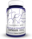 Nootropics Depot Polygala tenuifolia Capsules de 100mg de 100mg de 90 Comte de 20:1 Extrait de Yuan Zhi