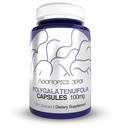 Nootropics Depot Polygala tenuifolia Capsules de 100mg de 100mg de 90 Comte de 20:1 Extrait de Yuan Zhi