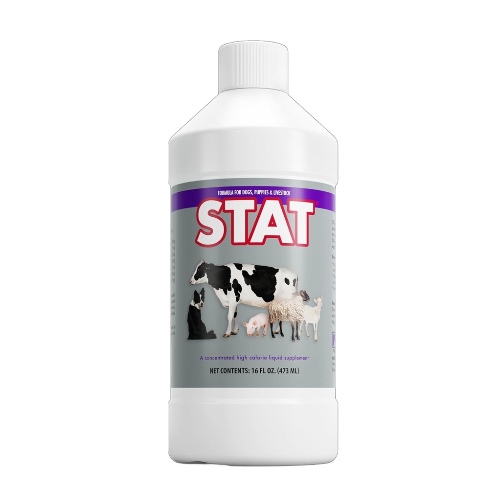 PRN Pharmacal STAT - Supplément nutritionnel à haute teneur en calories pour aider à rétablir les niveaux d'hydratation et de nutrition chez les animaux - Soutien alimentaire à la vanille avec vitamine A, D3, C, E, et plus - 16 Fl Oz