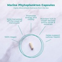 Vegan Life Nutrition - Capsules Phytoplancton Marine - Supplément alimentaire sans gluten, végétalien et non OGM avec Alpha 3 CMP pour soutenir la santé cellulaire, l'énergie et la vitalité - 30 capsules