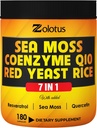 Zolotus 7 en 1 supplément de mousse de mer + Riz de levure rouge, Coenzyme Q10 Capsules, équivalent à 8640mg, avec Quercetin, Resvératrol, Vitamine B3, Vitamine D3, Balance corporelle, Système immunitaire et santé cardiaque