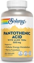 SOLARAY Acide pantothénique 500mg - Supplément d'acide pantothénique (Vitamine B5) - Vitamine complexe essentielle B - Système nerveux et soutien énergétique cellulaire - Vegan, sans gluten, 60 jours Guaratee, 250 portions