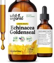 Wild & Organic Echinacea Gouttes liquides de seigle d'or - Supplément de soutien immunitaire avec extrait de racine d'échinacée d'or - Teinture végétalienne, sans sucre et sans alcool - 2 fl oz