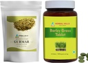 HERBAL HILLS Gurmar Tea Powder and Barley Grass Comprimés Pack de 2 Combo