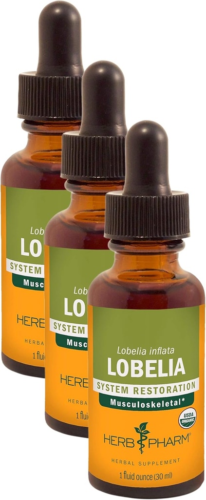 Extrait liquide de lobelia biologique certifié Herb Pharm pour le soutien du système musculosquelettique - 1 once (DLOBEL01) (paquet de 3)