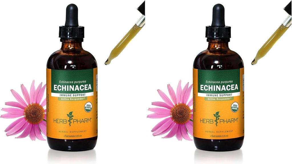 Extrait liquide d'échinacée biologique certifié Herb Pharm pour le système immunitaire, alcool de canne biologique, 4 once (paquet de 2)