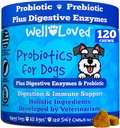 Probiotiques pour chiens, probiotiques pour chiens, fabriqués aux États-Unis, Vet développé pour la santé de Gut, l'équilibre des levures, la peau démangeaison, la diarrhée et le dégazage, les croustilles avec des enzymes prébiotiques et digestives, support digestif