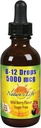 Nature's Life B-12 Drops, Methlycobalamin 4 oz (2 Fl Oz (Pack of 1))