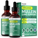 5-en-1 gouttes de Mullein pour les poumons et les bronches - Soutien respiratoire pour la santé pulmonaire avec extrait de Mullen Leaf pour les poumons - Teinture de Mullein avec des racines de mûre, d'échinacée et de gingembre (60 portions) (2-pack)