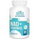 Supplément NAD+ liposomale 1000 mg de NAD le plus élevé Pontecy de NAD