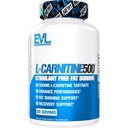 EVL L-Carnitine Supplément pour le soutien de la perte de poids - L Carnitine Tartrate pour l'énergie cellulaire Focus Endurance et Fat Burning Support - Amino Acid Stimulant Free pour le métabolisme des graisses (120 portions)