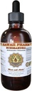 Hawaii Pharm Schisandra Extrait liquide, Schisandra biologique (Schisandra Chinensis) Teinture, supplément à base de plantes, Fabriqué aux États-Unis, 4 fl.oz