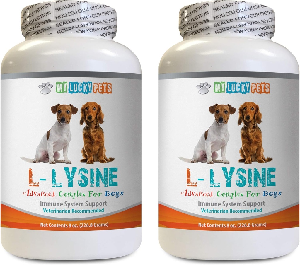 Santé des os et des articulations pour les chiens - Poudre de LYSINE pour chien - Forme de poudre pure - Support du système immunitaire - Vet recommandé - vrac de lysine - 2 bouteilles (16oz 453,6 grammes)