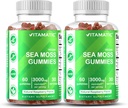 Vitamatic 2 Pack Irish Sea Moss Gummies – 3000 mg Équivalent par portion (132,5 mg Extrait) – 60 Compte – Fabriqué avec Bladderwrack & Burdock Root – Soutient la santé thyroïde, énergétique et immunitaire
