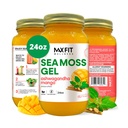 Gel de mousse de mer Ashwagandha Mango (25 saveurs) 24 oz Gel de mousse de mer d'or sauvage raftté de Sainte-Lucie 92 vitamines et minéraux