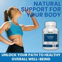 Bien-être: Rein Plus 600mg avec extrait de canneberge, Astragalus Racine, Java Tea-Leaf & antioxydants pour le bien-être général, aide la fonction rénale saine et le bien-être urinaire, 60 Capsules