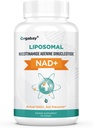 Orgabay NAD liposomique + Supplément 500 mg, Absorption élevée, Boost NAD+ avec TMG 250 mg, Réel NAD Plus plus plus efficace que le riboside de Nicotinamide, Soutien énergie cellulaire, Vieillissement en santé